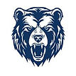 Lincoln County High School Football